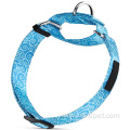 Unique Pattern Martingale Dog Collar Soft